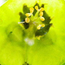 免费商用正版的攻击网站在线工具